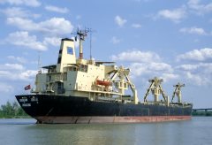 Thumbnail Image for Eurasian Cherub oncontextmenu=