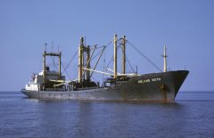 Thumbnail Image for Helene Roth