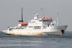 Thumbnail Image for Professor Multanovskiy