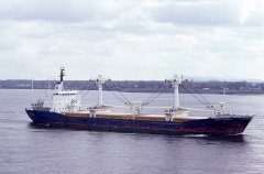 Thumbnail Image for Fer Jamaica oncontextmenu=