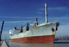 Thumbnail Image for Kallio