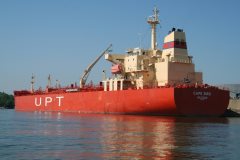 Thumbnail Image for Cape Bird oncontextmenu=