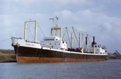 Thumbnail Image for Ilkon Niki