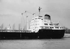 Thumbnail Image for Apollonia