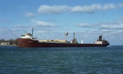 Thumbnail Image for Matthew Andrews