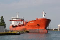 Thumbnail Image for Algoterra oncontextmenu=