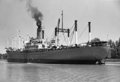 Thumbnail Image for Steel Executive