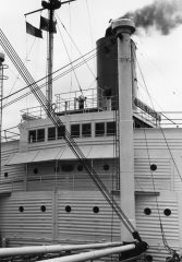 Thumbnail Image for Steel Executive