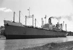 Thumbnail Image for Steel Executive