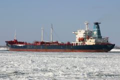 Thumbnail Image for Varg Star oncontextmenu=