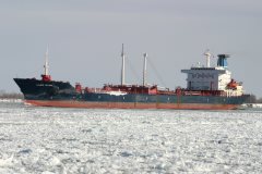 Thumbnail Image for Varg Star oncontextmenu=