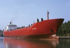 Thumbnail Image for Avon Forest