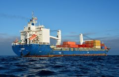 Thumbnail Image for Amber