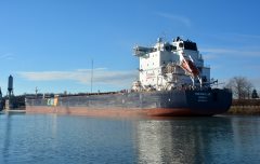 Thumbnail Image for CWB Marquis