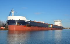 Thumbnail Image for CWB Marquis