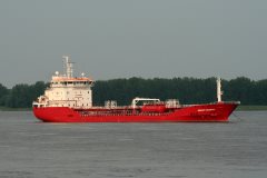 Thumbnail Image for Düzgit Dignity oncontextmenu=