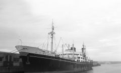 Thumbnail Image for Agostino Bertani