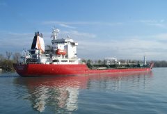 Thumbnail Image for Longobarda oncontextmenu=