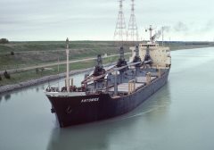 Thumbnail Image for Antonios