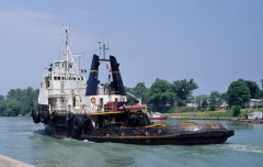 Thumbnail Image for Pacific Standard