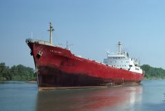 Thumbnail Image for Catalina