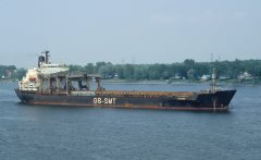 Thumbnail Image for Falcon