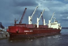 Thumbnail Image for Federal Baffin