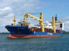 Thumbnail Image for BBC Florida