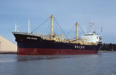 Thumbnail Image for Hand Fortune oncontextmenu=