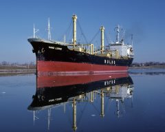 Thumbnail Image for Hand Loong