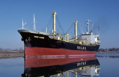 Thumbnail Image for Hand Loong