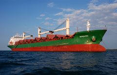 Thumbnail Image for Mandarin oncontextmenu=