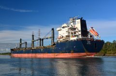 Thumbnail Image for Puna oncontextmenu=