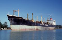 Thumbnail Image for Lily Village