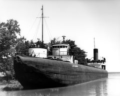 Thumbnail Image for John Ericson