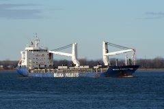 Thumbnail Image for Beluga Family oncontextmenu=