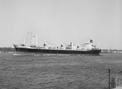 Thumbnail Image for Continental Pioneer