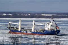 Thumbnail Image for Beluga Favourisation