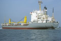 Thumbnail Image for African Gardenia oncontextmenu=