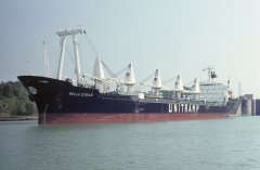 Thumbnail Image for Belle Etoile