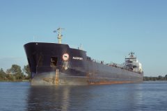 Thumbnail Image for Algoport oncontextmenu=