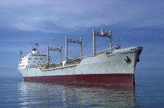 Thumbnail Image for Sneland I