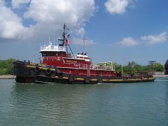 Thumbnail Image for Bridget McAllister oncontextmenu=