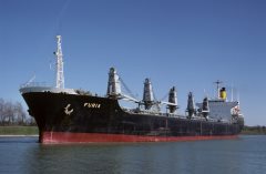 Thumbnail Image for Furia