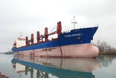 Thumbnail Image for Spring Breeze I