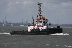 Thumbnail Image for Union Koala oncontextmenu=