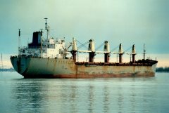 Thumbnail Image for Sea Veteran