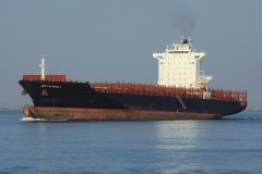 Thumbnail Image for JPO Vulpecula