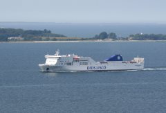 Thumbnail Image for Lisko Maxima