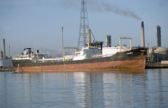 Thumbnail Image for Pyrros V.